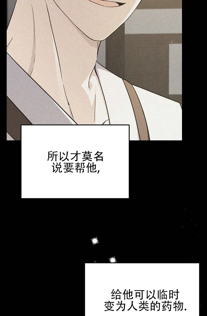 《驯兽恋歌（完结)》第8话 第23页