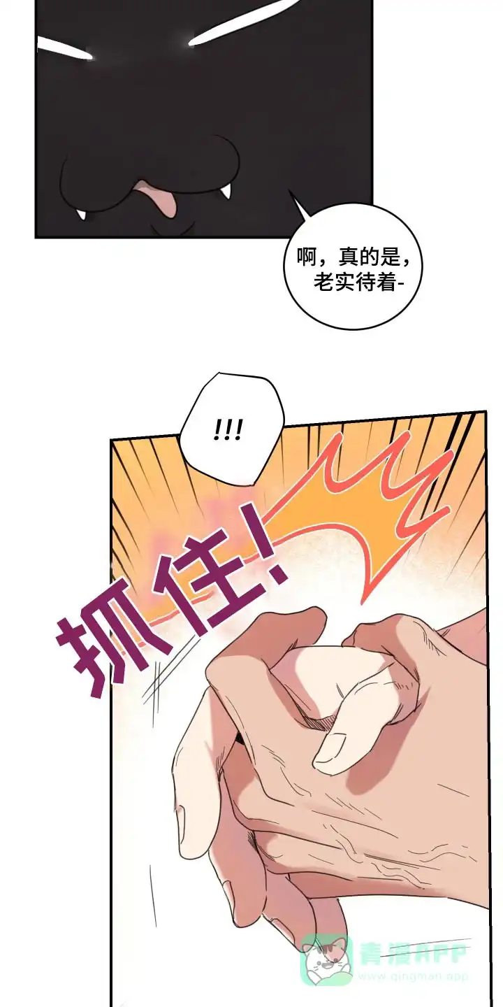 《旭日之家》第34话 第11页