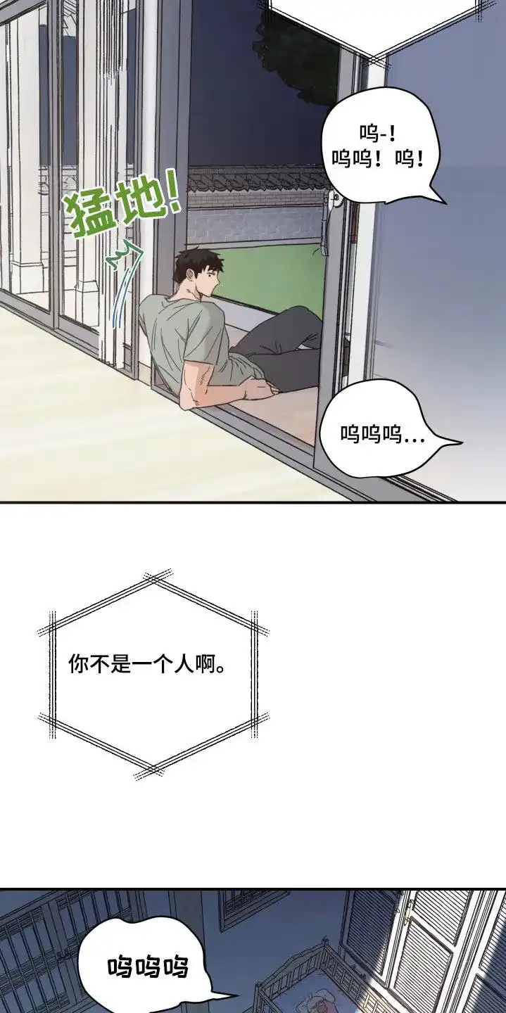 《旭日之家》第46话 第19页