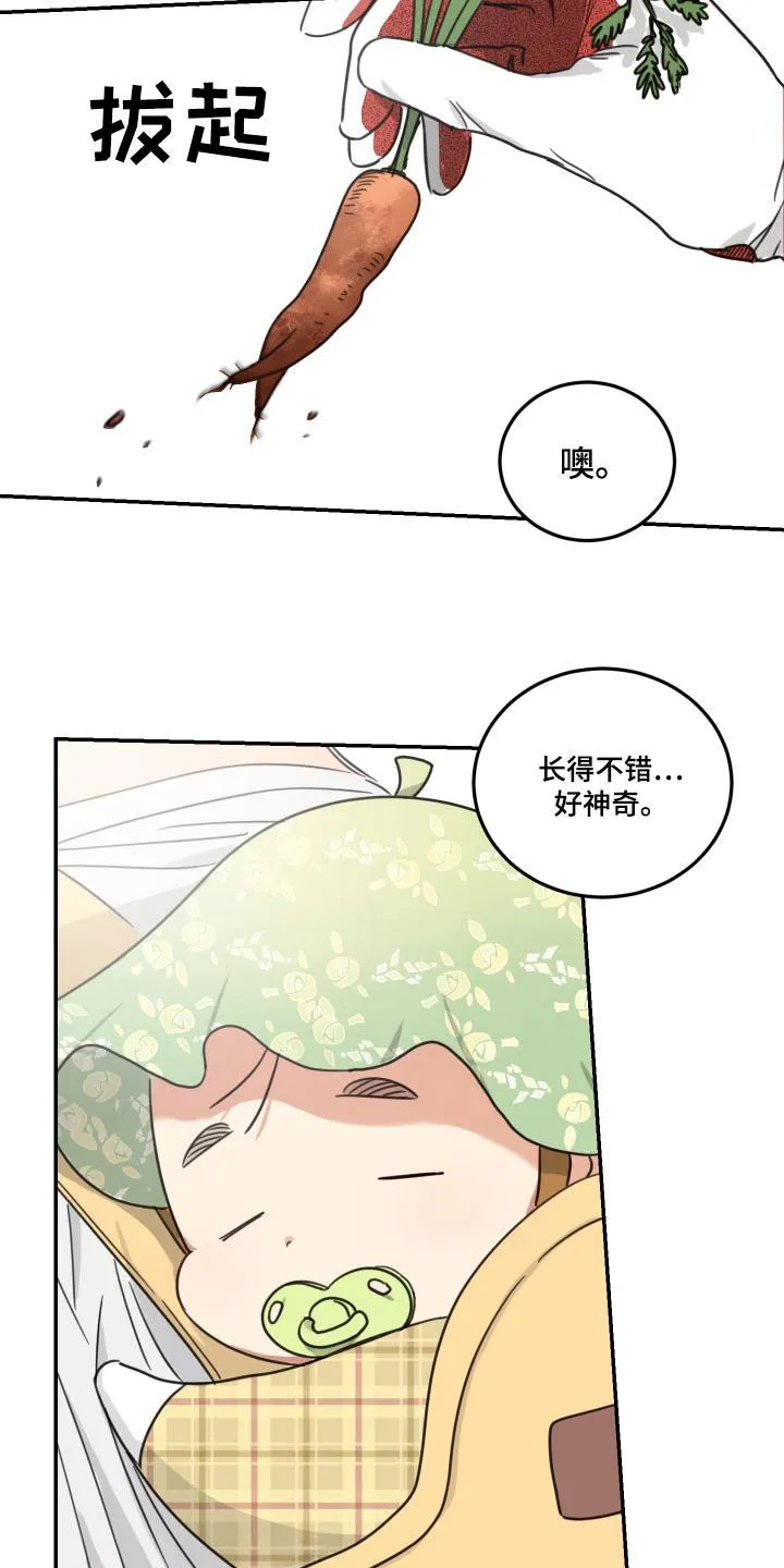 《旭日之家》第62话 第2页