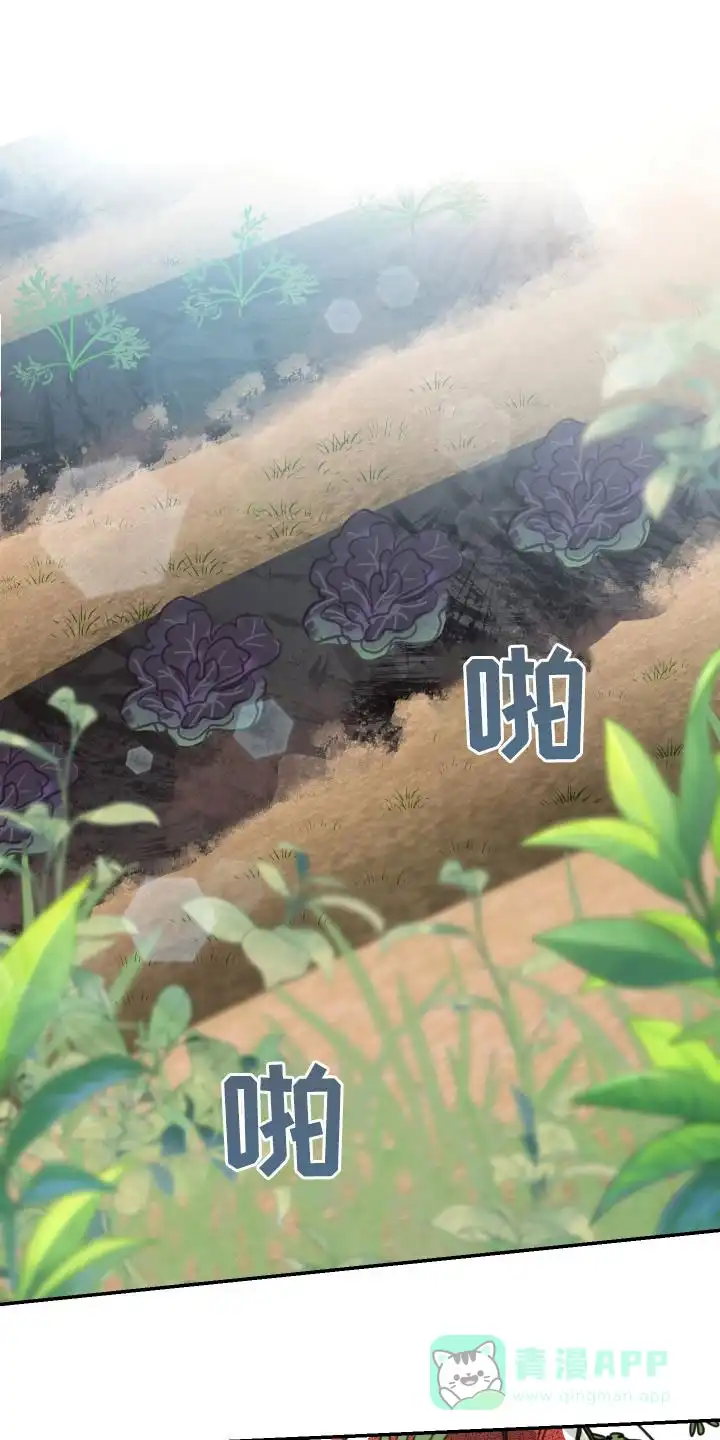 《旭日之家》第62话 第1页