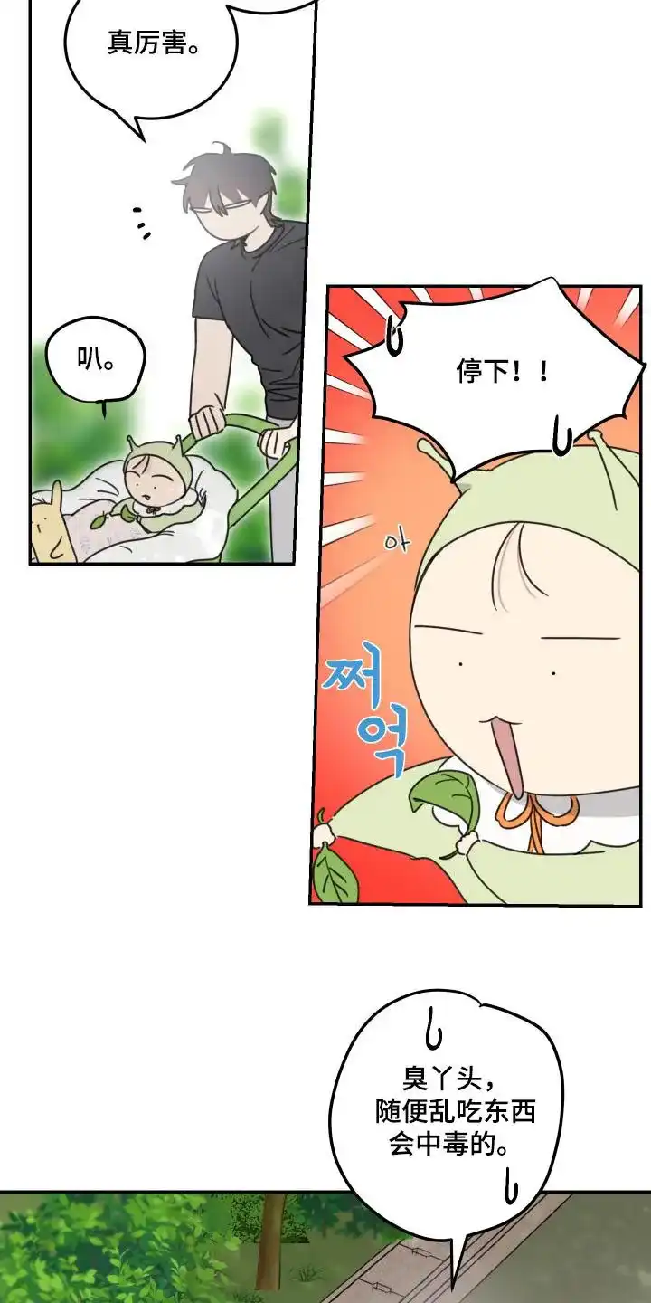 《旭日之家》第73话 第4页