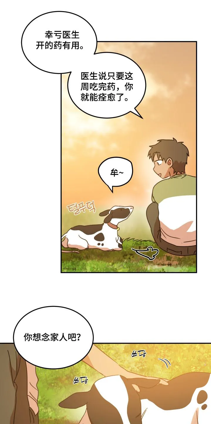 《旭日之家》第82话 第5页