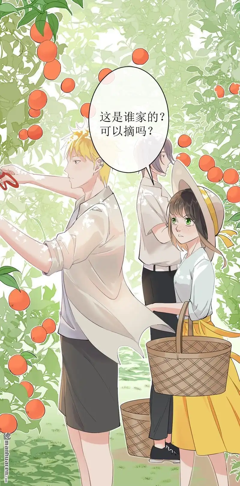 《嘘，我喜欢你》第10回 摘桔子 第12页