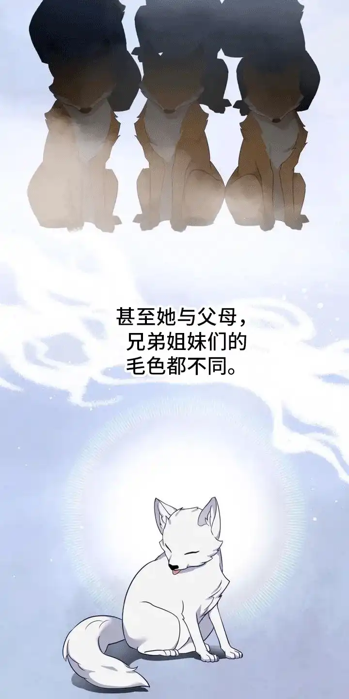《养虎为患》第2话 第20页