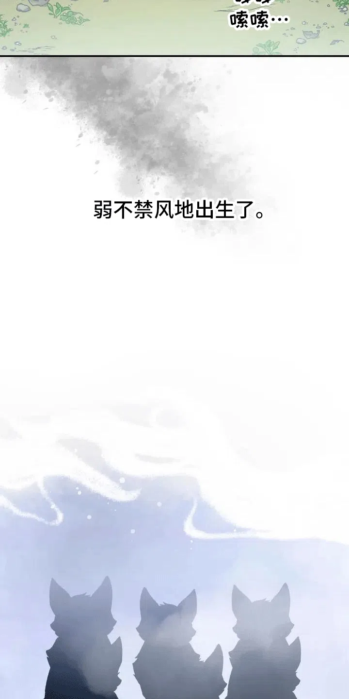 《养虎为患》第2话 第19页