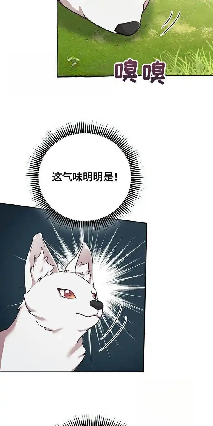 《养虎为患》第26话 第14页