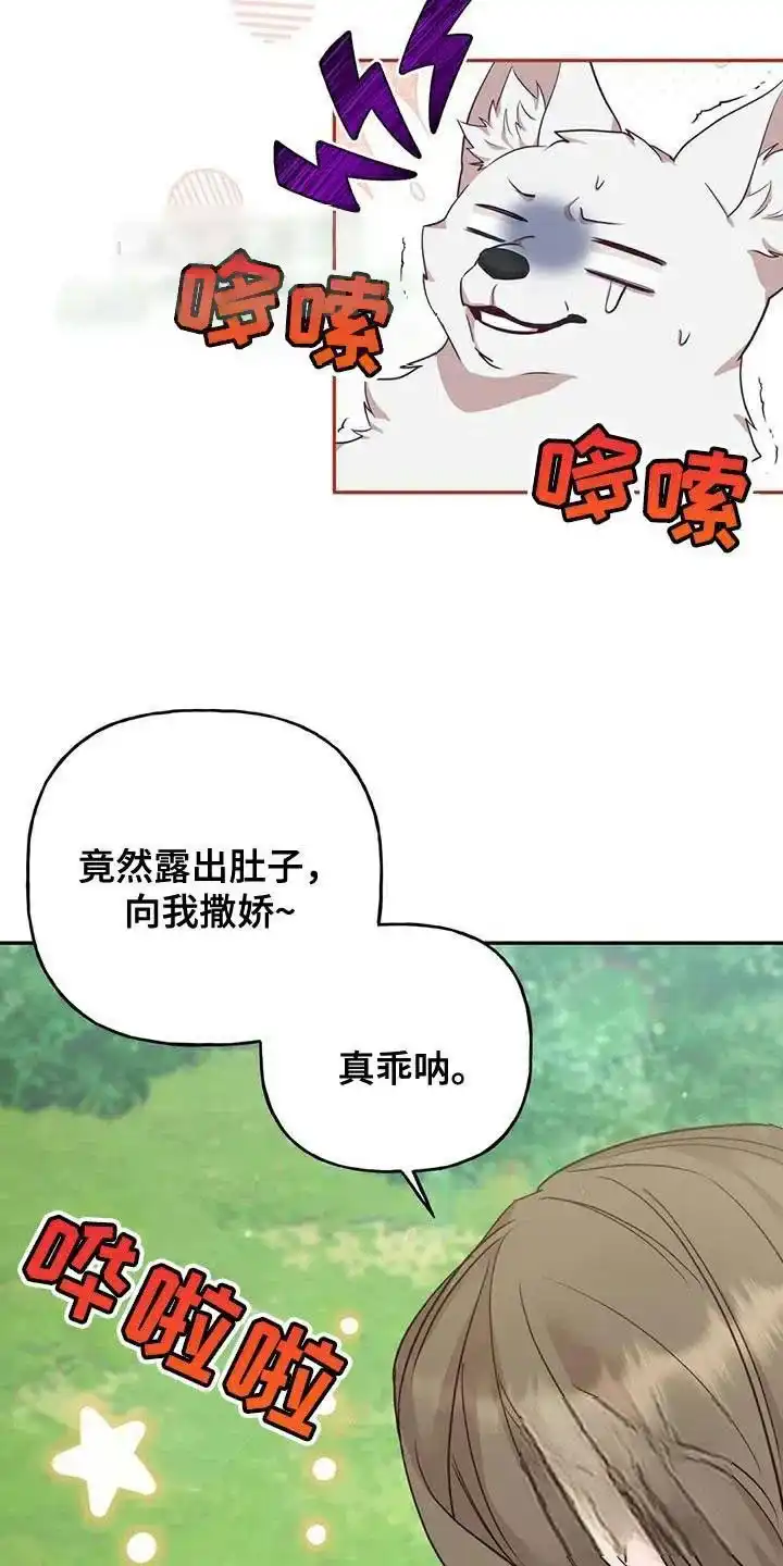 《养虎为患》第27话 第25页