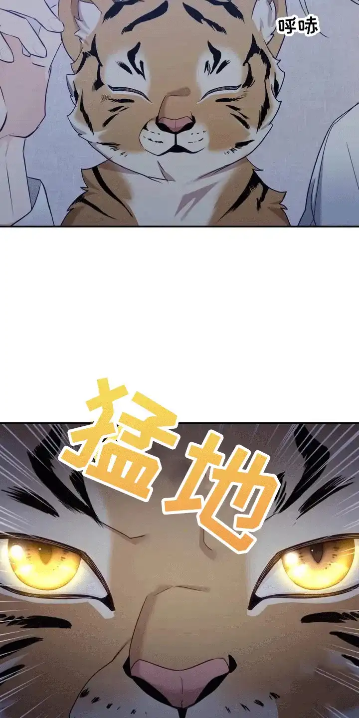 《养虎为患》第4话 第14页