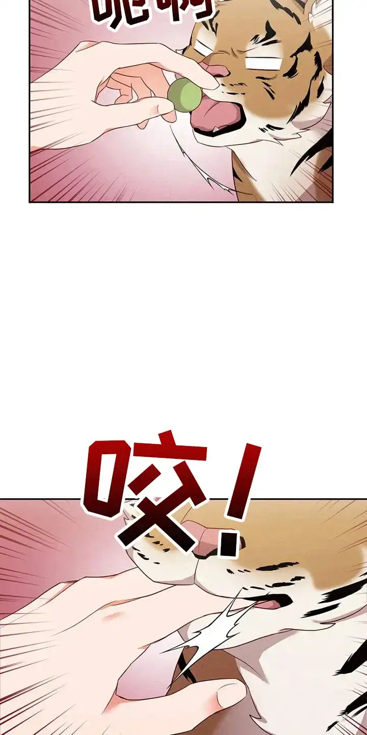 《养虎为患》第4话 第28页