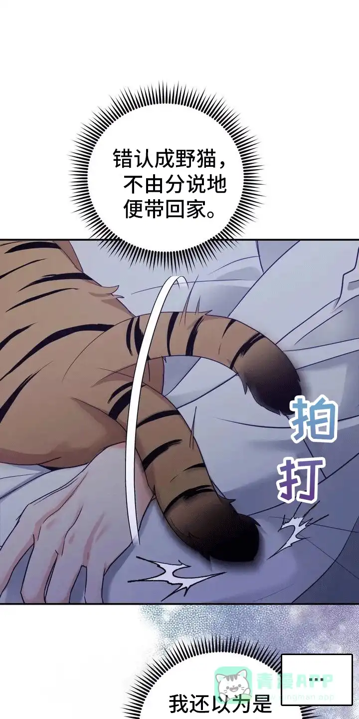 《养虎为患》第4话 第16页