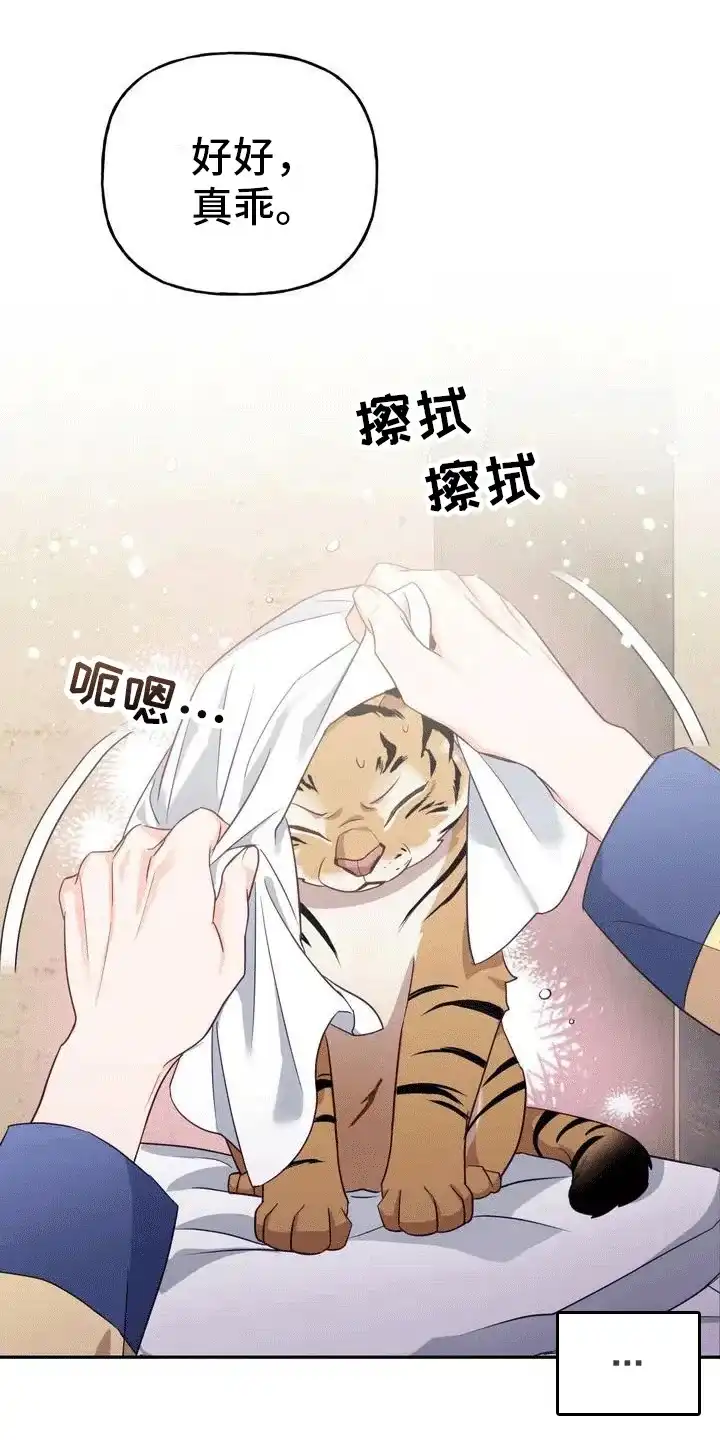 《养虎为患》第4话 第7页