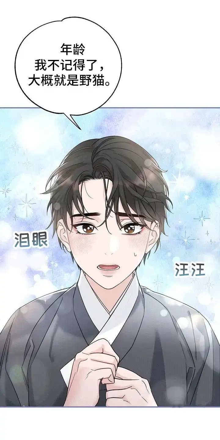 《养虎为患》第9话 第13页