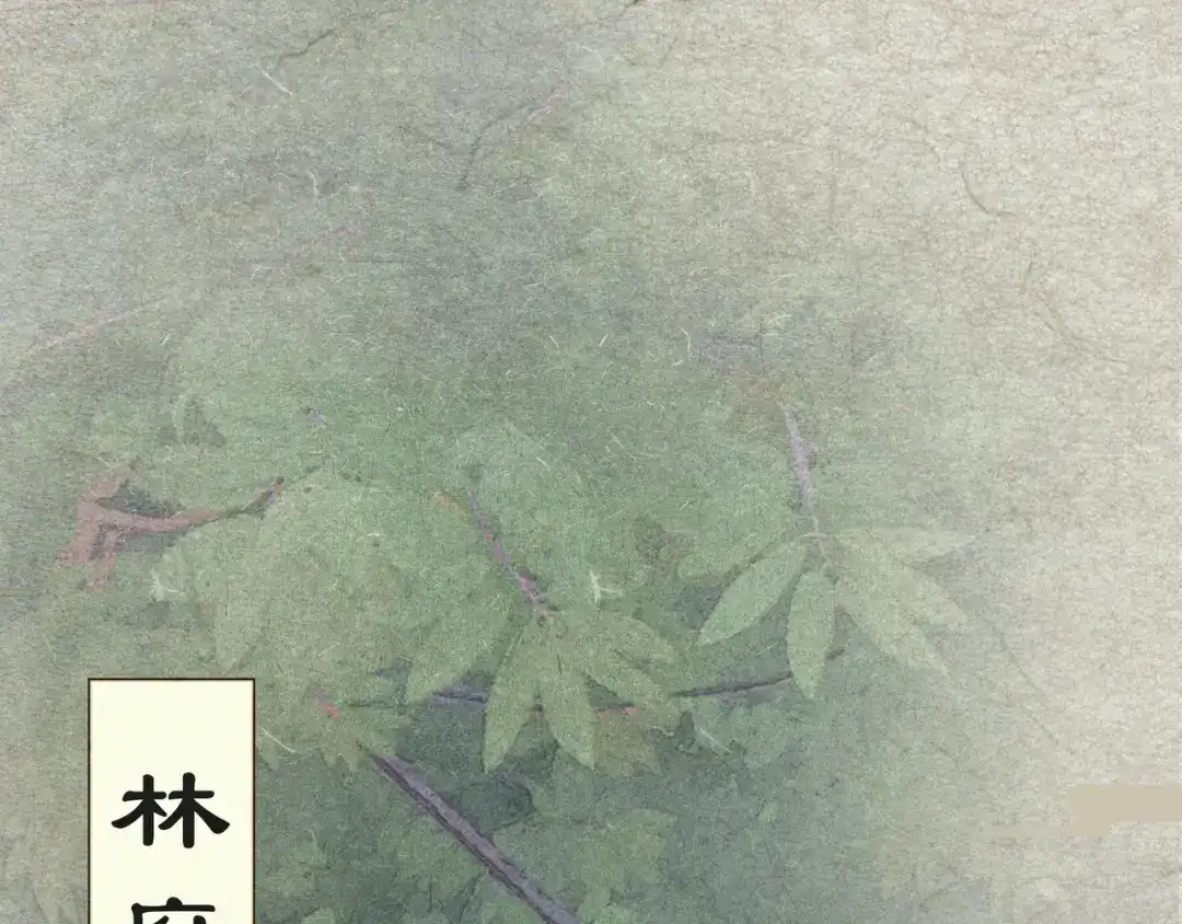 《宴无好宴》第二话 第47页