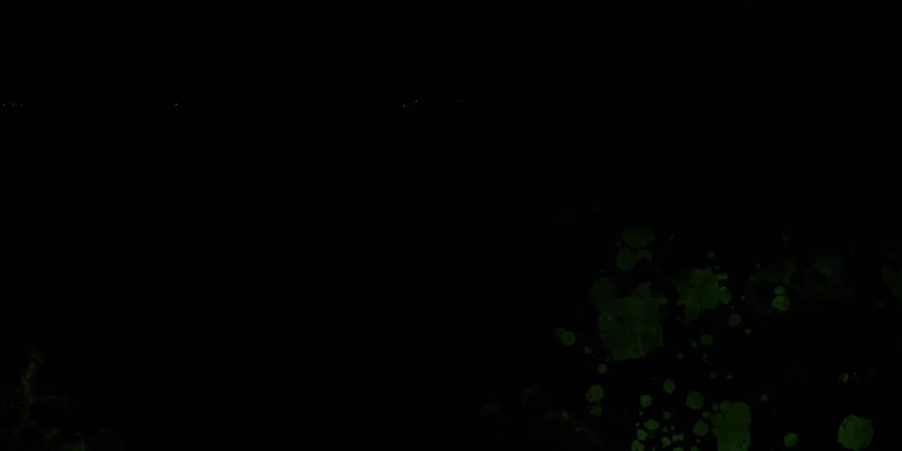 《厌恶万岁》第10话 第48页