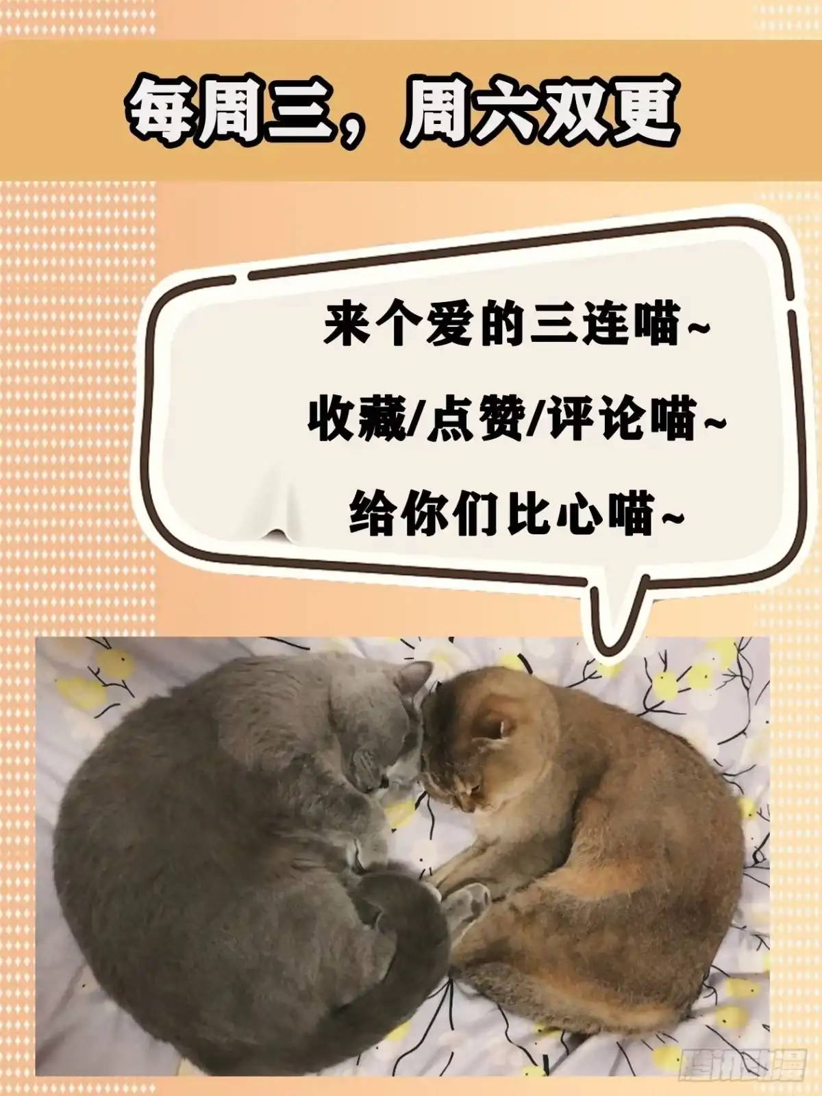 《妖开饭啦！（烹饪美味怪物吧）》8.五味 第40页