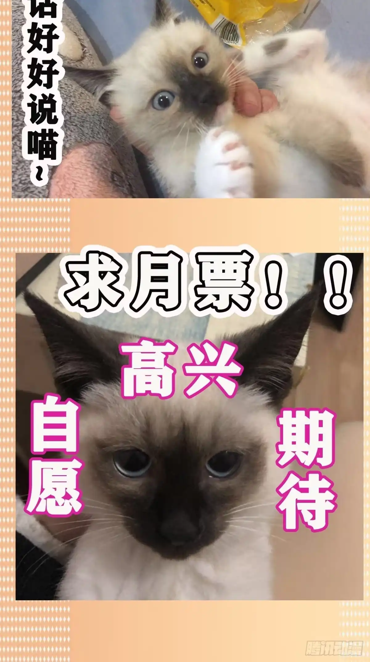 《妖开饭啦！（烹饪美味怪物吧）》11.我才是祖国的花朵 第38页