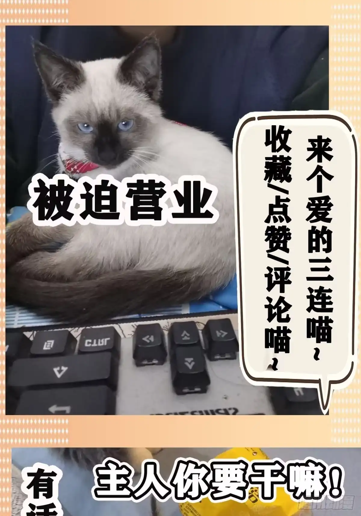 《妖开饭啦！（烹饪美味怪物吧）》11.我才是祖国的花朵 第37页