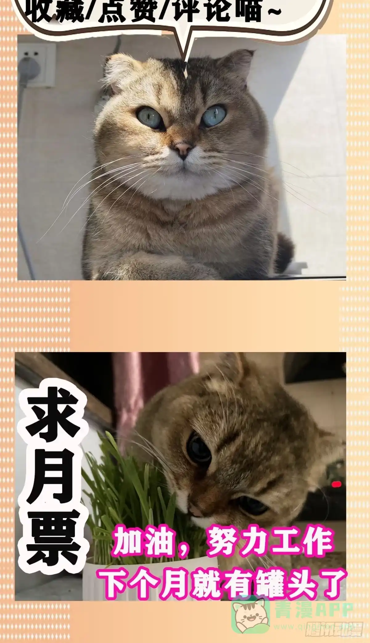 《妖开饭啦！（烹饪美味怪物吧）》12.不灭火鸡 第41页