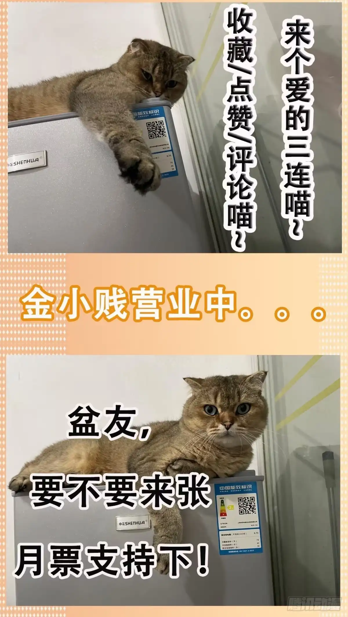 《妖开饭啦！（烹饪美味怪物吧）》13.灵之力 第34页