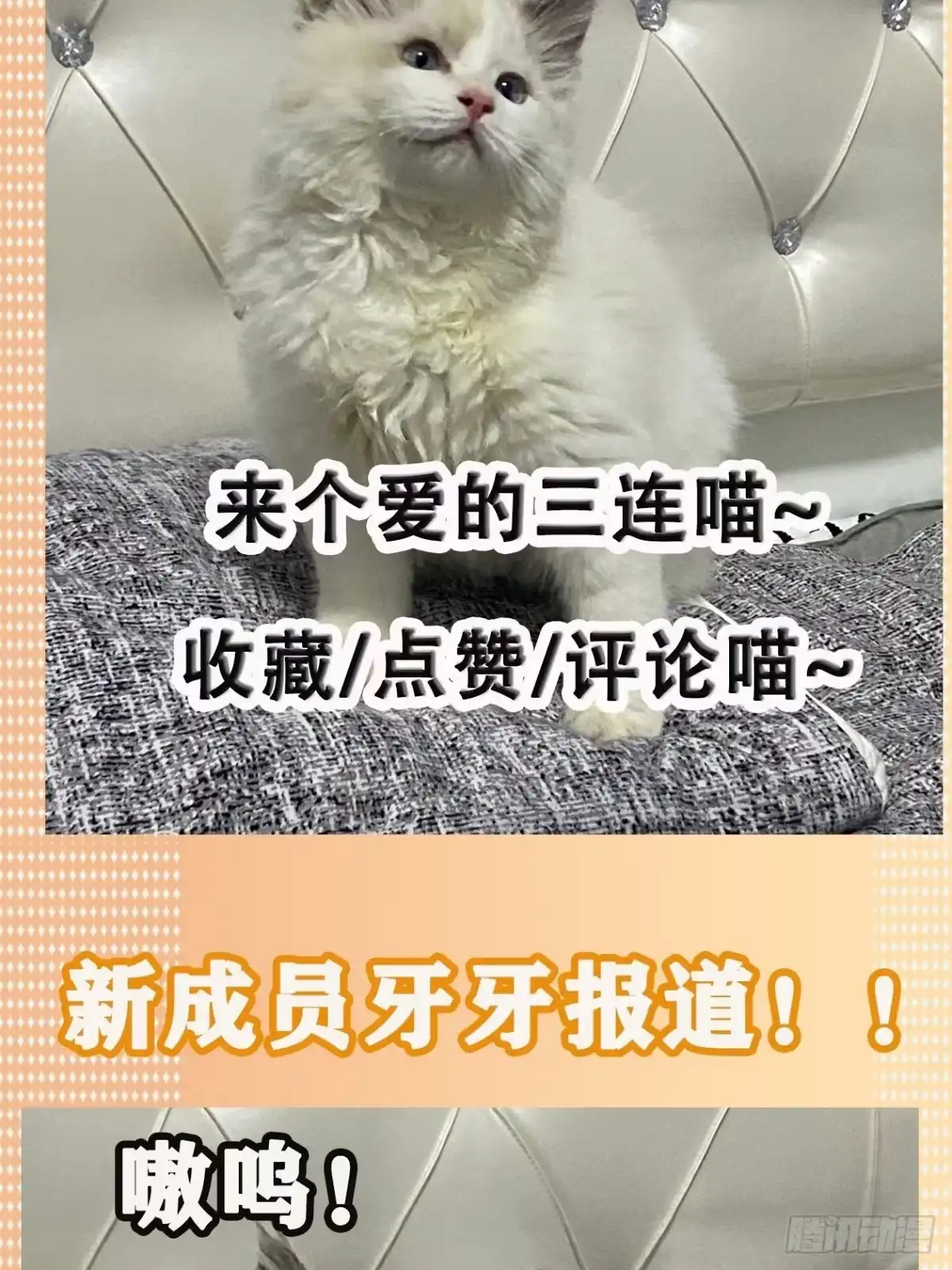 《妖开饭啦！（烹饪美味怪物吧）》14.镇魔刀 第35页