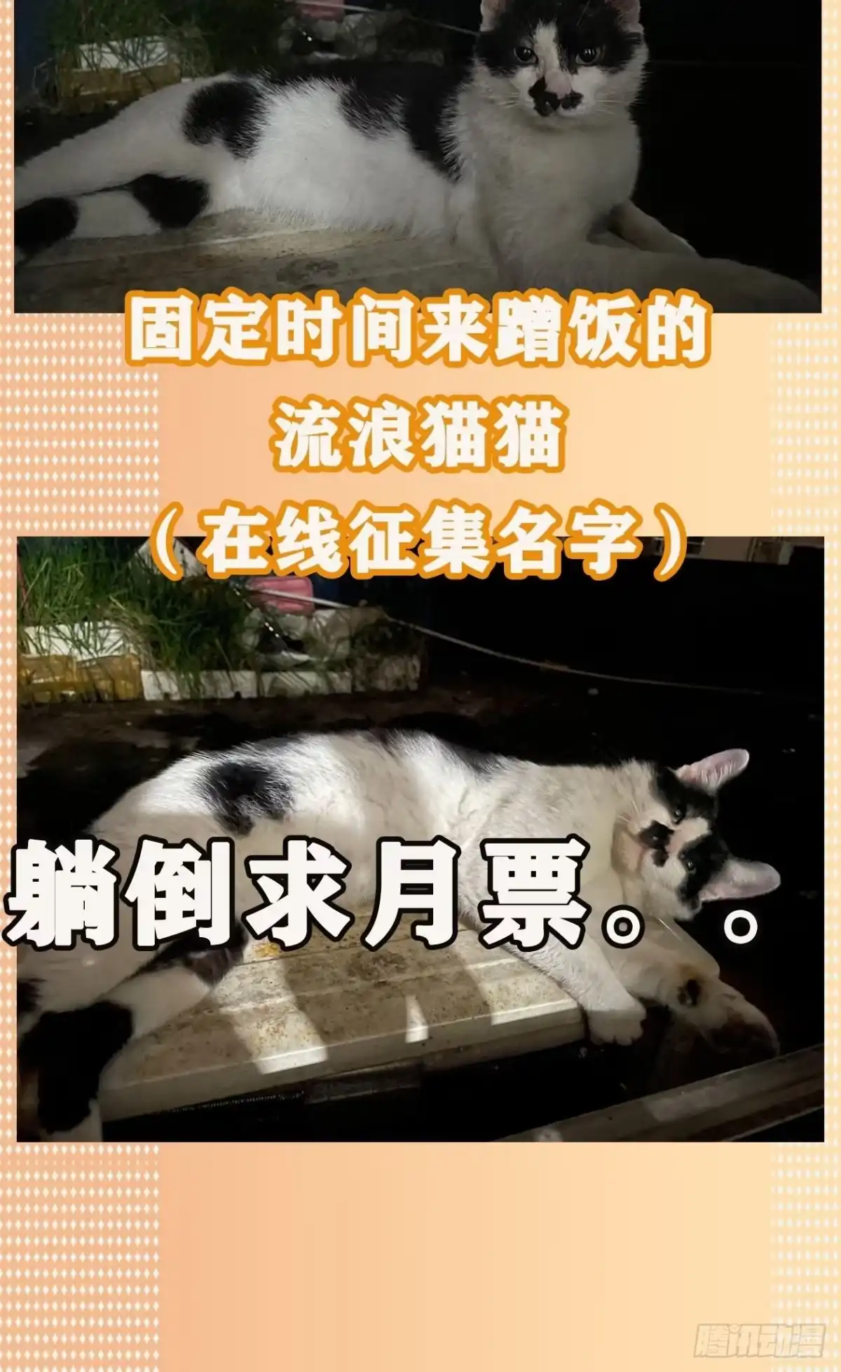 《妖开饭啦！（烹饪美味怪物吧）》15.杀鸡焉用魔刀 第34页