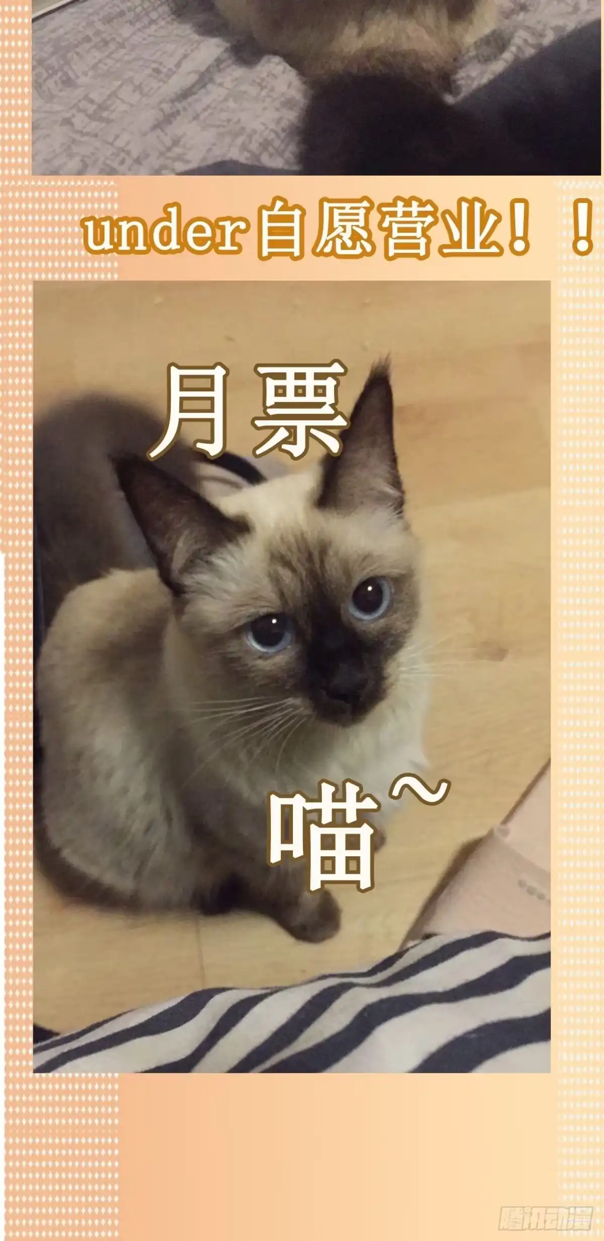 《妖开饭啦！（烹饪美味怪物吧）》17.渡鸦 第28页