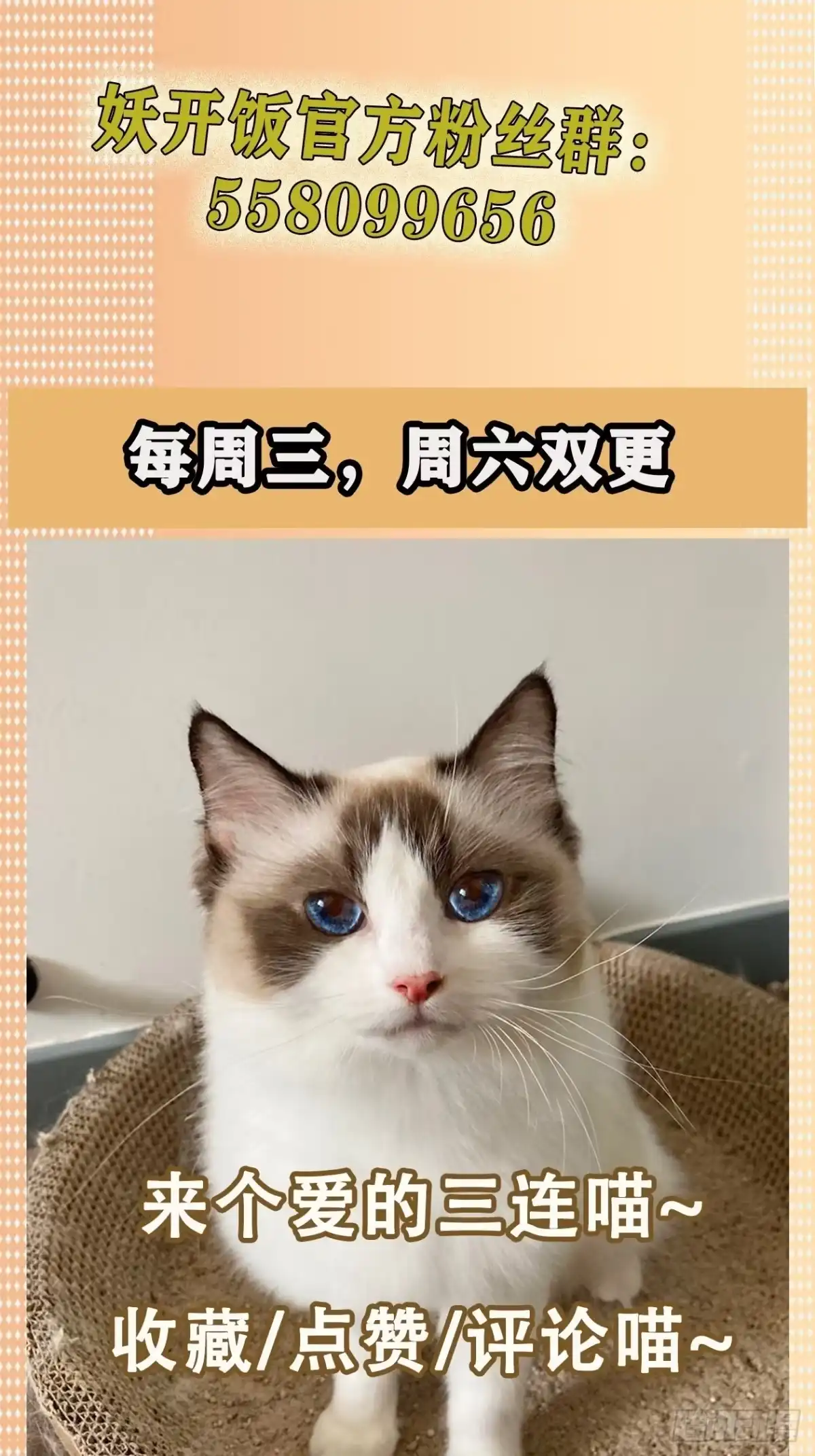 《妖开饭啦！（烹饪美味怪物吧）》喂，接个电话 第19页