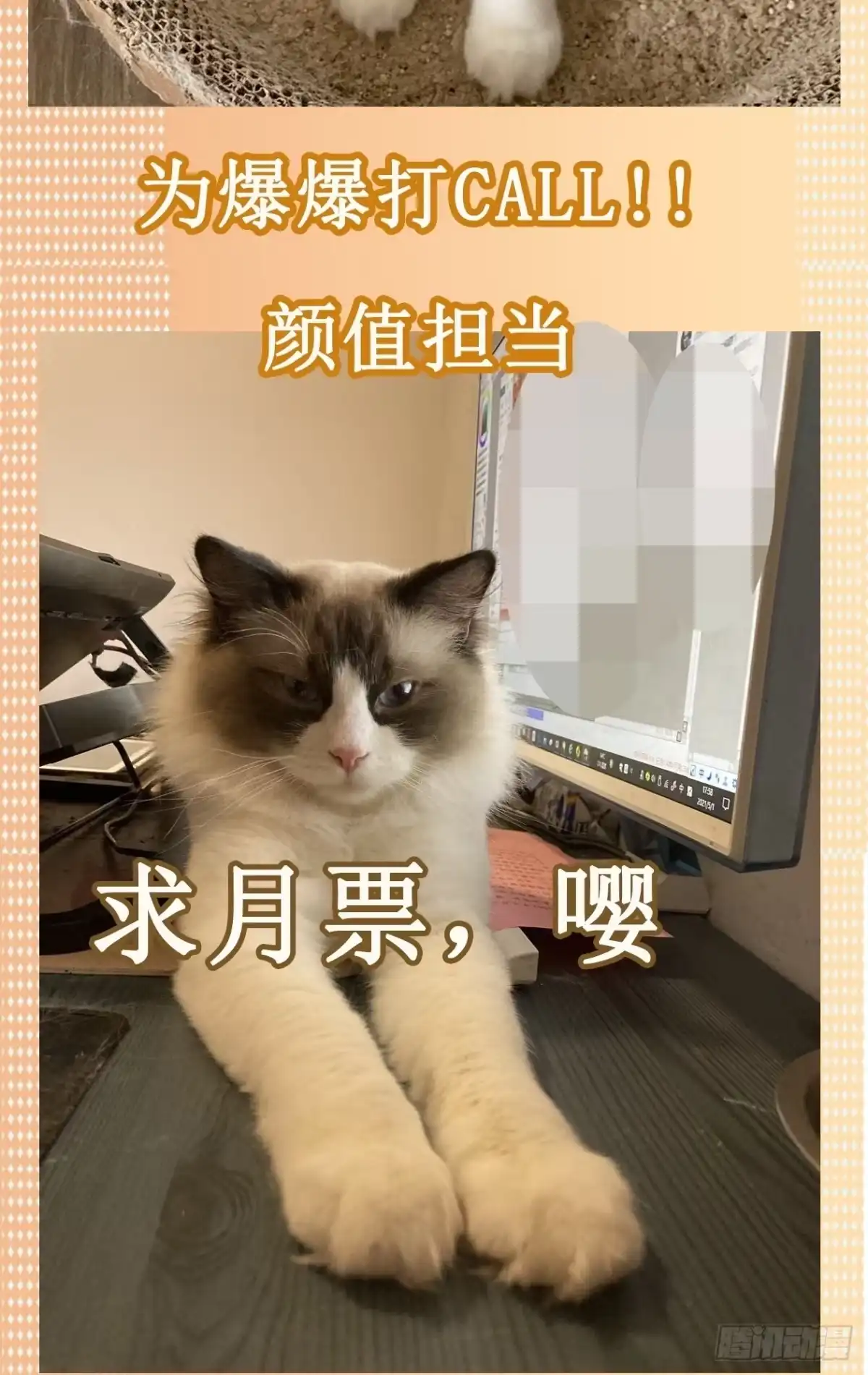 《妖开饭啦！（烹饪美味怪物吧）》喂，接个电话 第20页