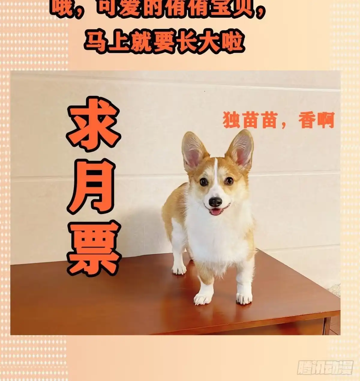 《妖开饭啦！（烹饪美味怪物吧）》21.狐狸精集美 第44页