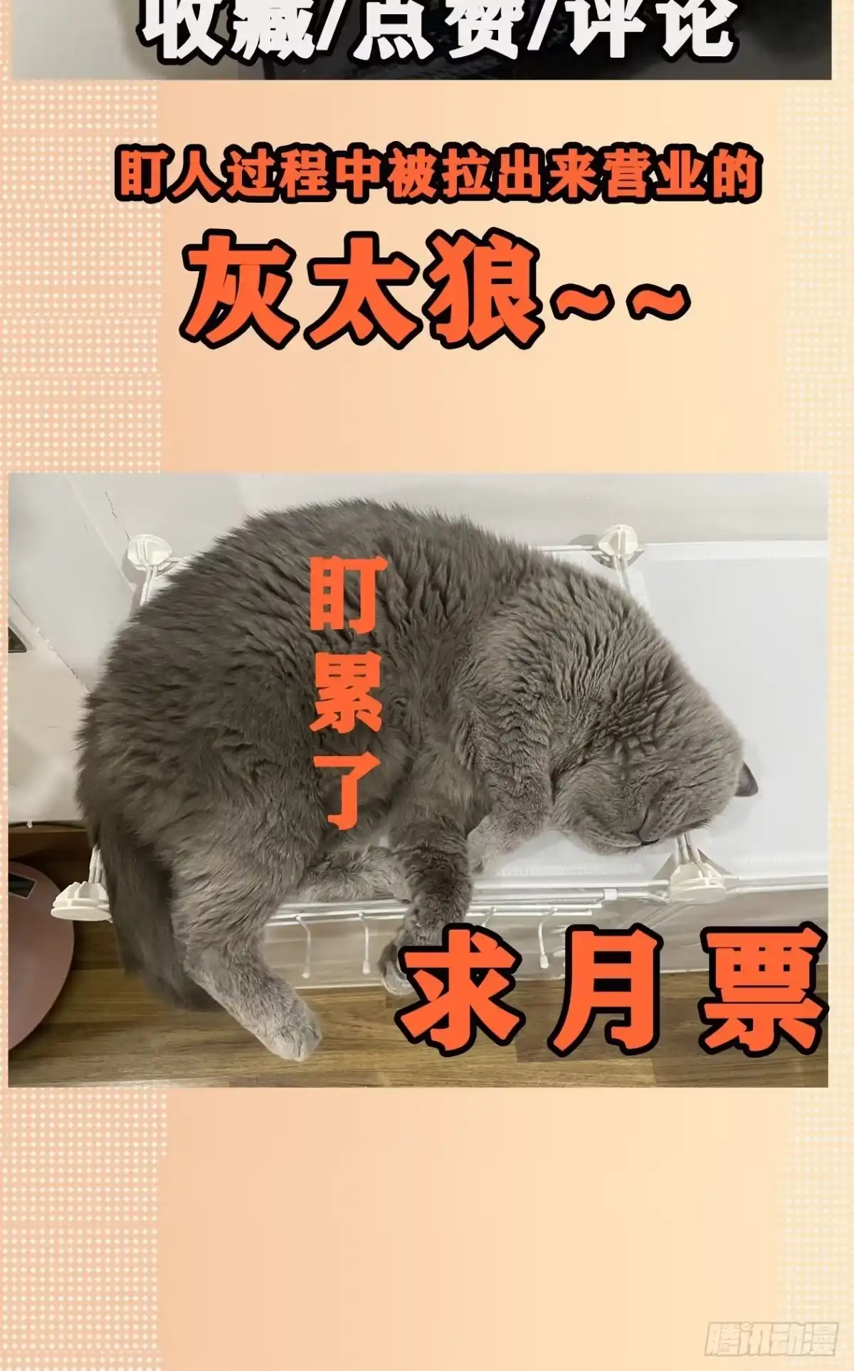《妖开饭啦！（烹饪美味怪物吧）》25.蜚 第40页