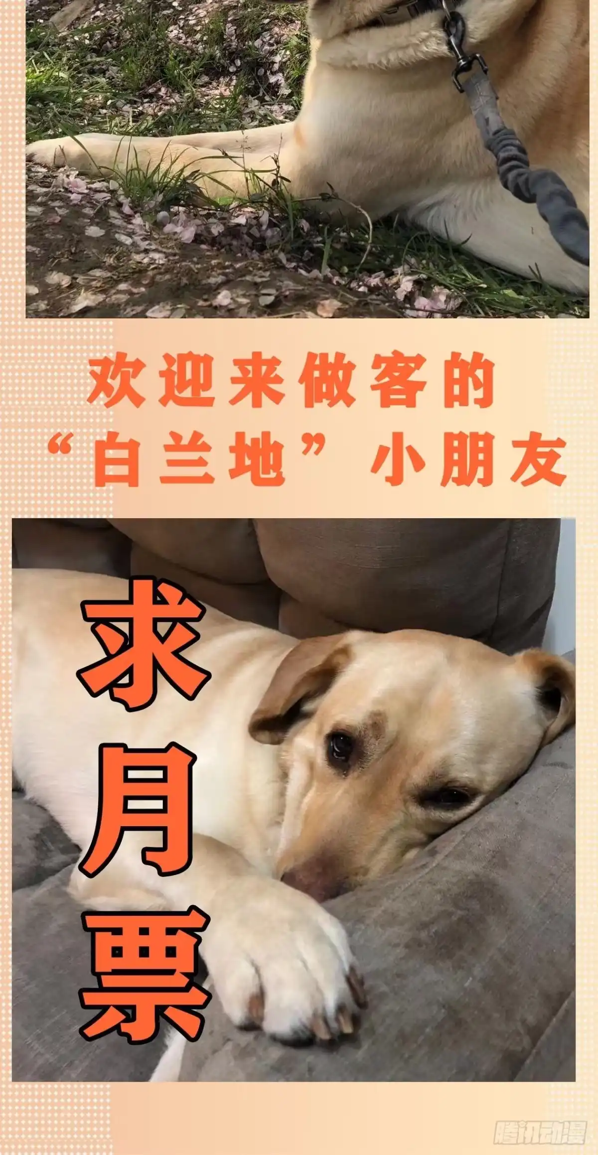 《妖开饭啦！（烹饪美味怪物吧）》29.刻耳柏洛斯 第33页