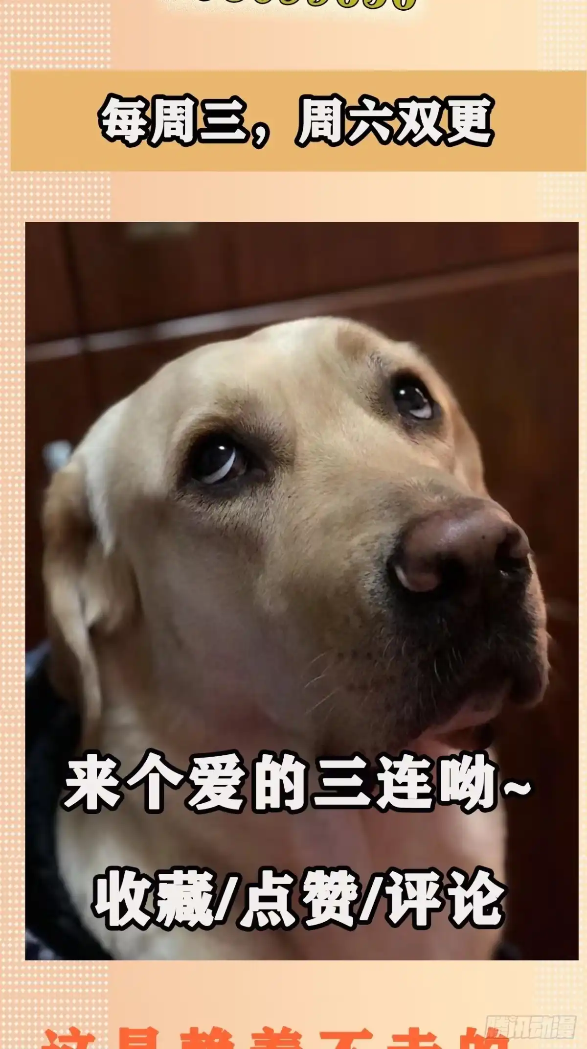 《妖开饭啦！（烹饪美味怪物吧）》30.下锅了 第27页