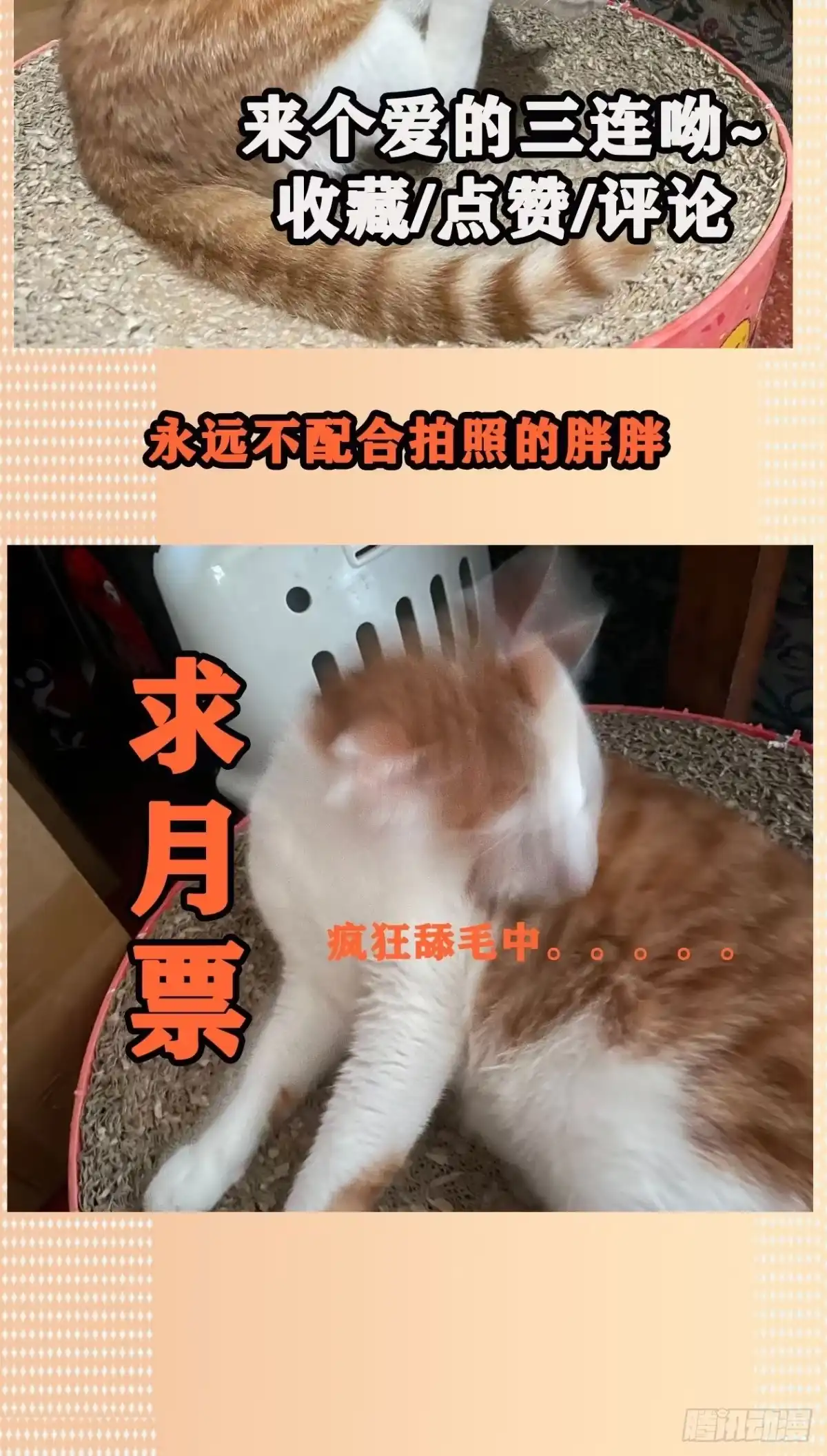《妖开饭啦！（烹饪美味怪物吧）》31.狐狸的报恩 第30页