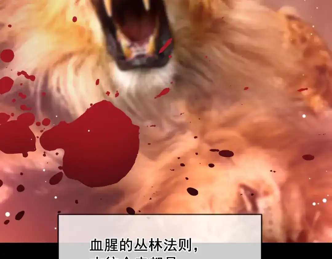 《耀眼的他》09 婚房 第67页