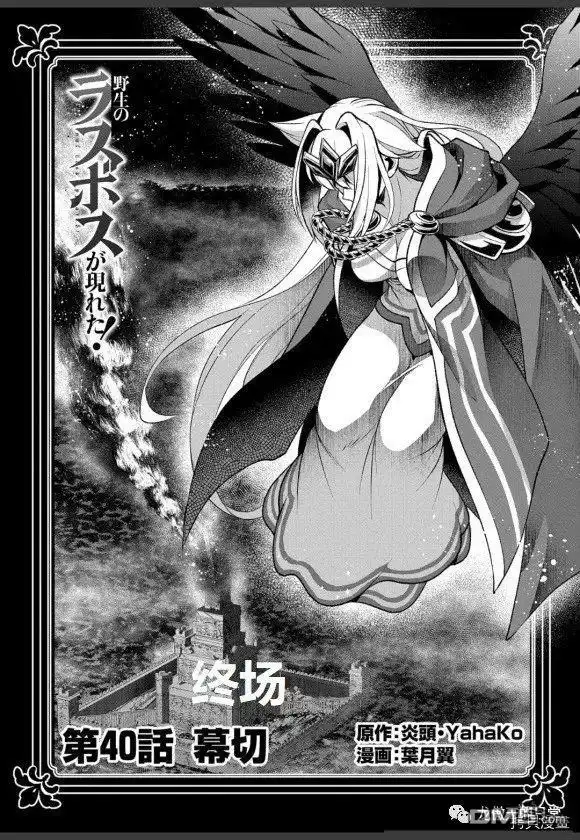《野生的最终BOSS出现了》第40话 试看版 第2页