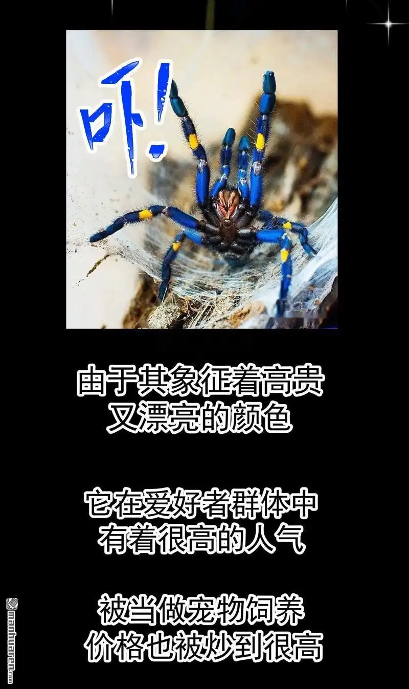《夜之万魔殿》第6回 友谊的证明 第47页