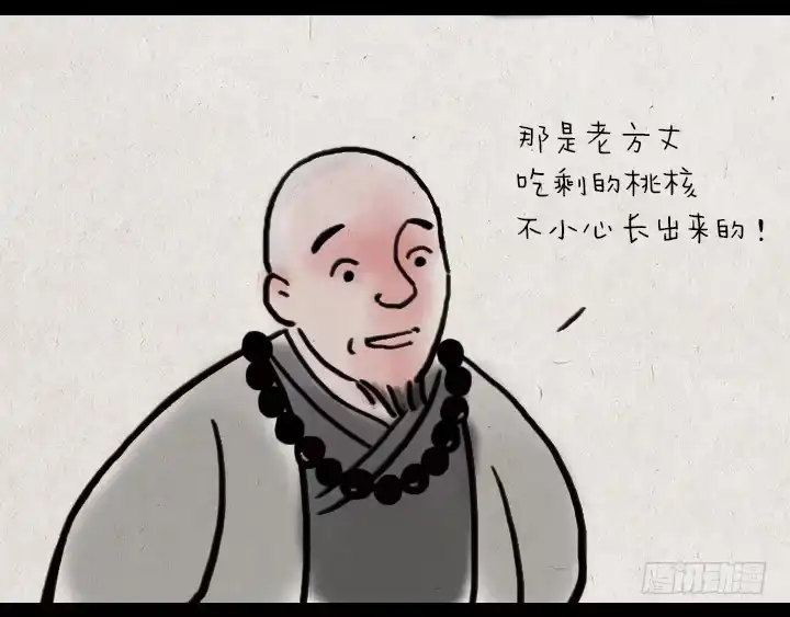 《一禅小和尚》第一话 姻缘树 第5页
