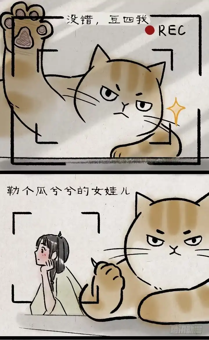 《一禅小和尚》第一百一十四话 橘猫 第3页