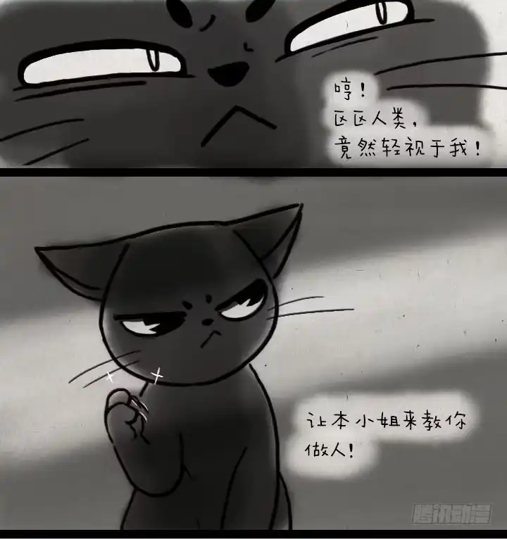 《一禅小和尚》第五十七话 猫猫狗狗 第6页