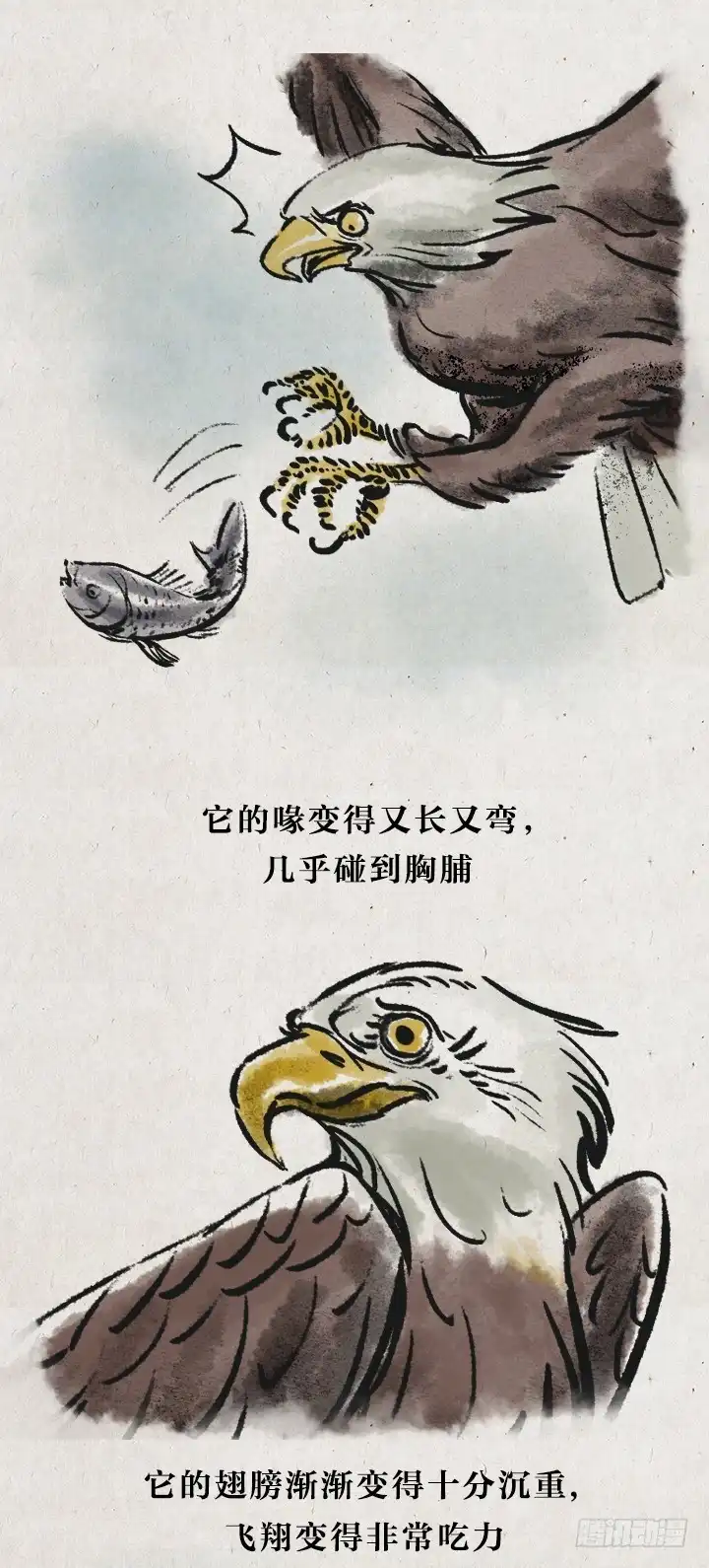 《一禅小和尚》第七十二话 暖心小故事 第2页