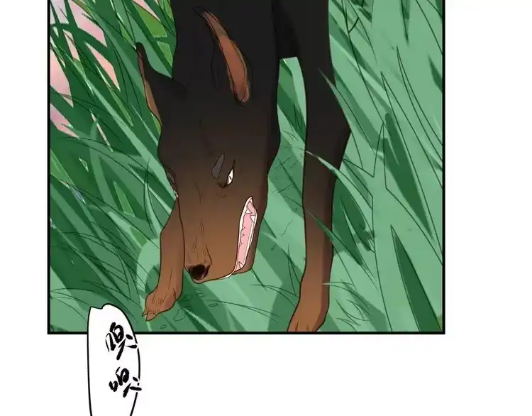 《以唇封缄》第44话 愿用我的生命换她活着 第71页