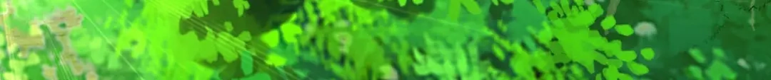 《一等家丁》第297话 第66页