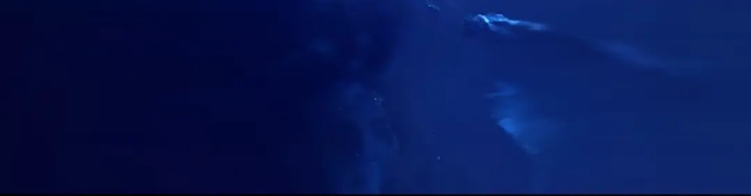 《一等家丁》第336话 第28页