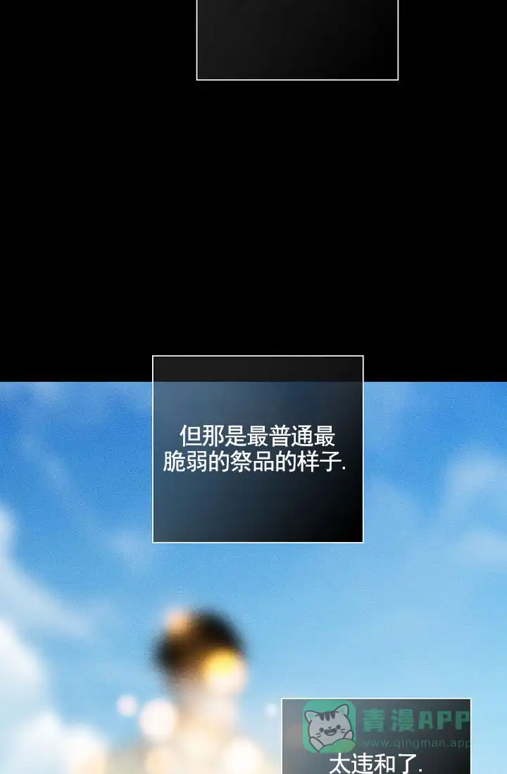 《已婚男》第145话 第66页