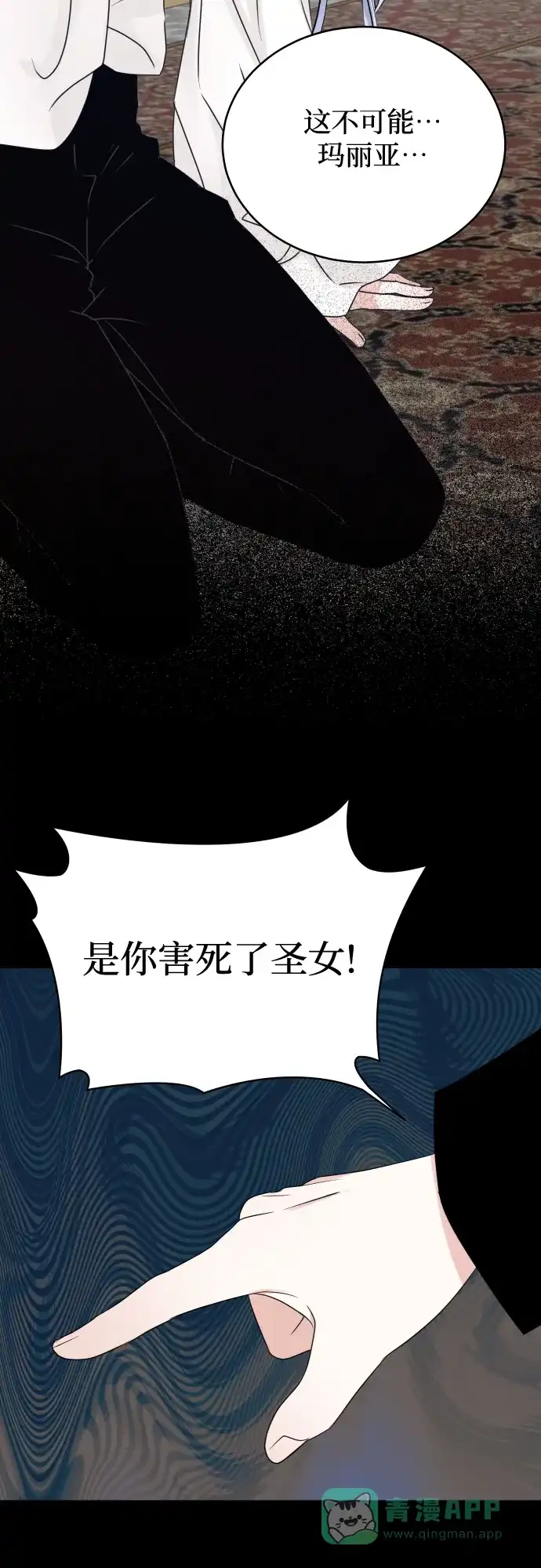 《隐藏的圣女》第23话 第17页