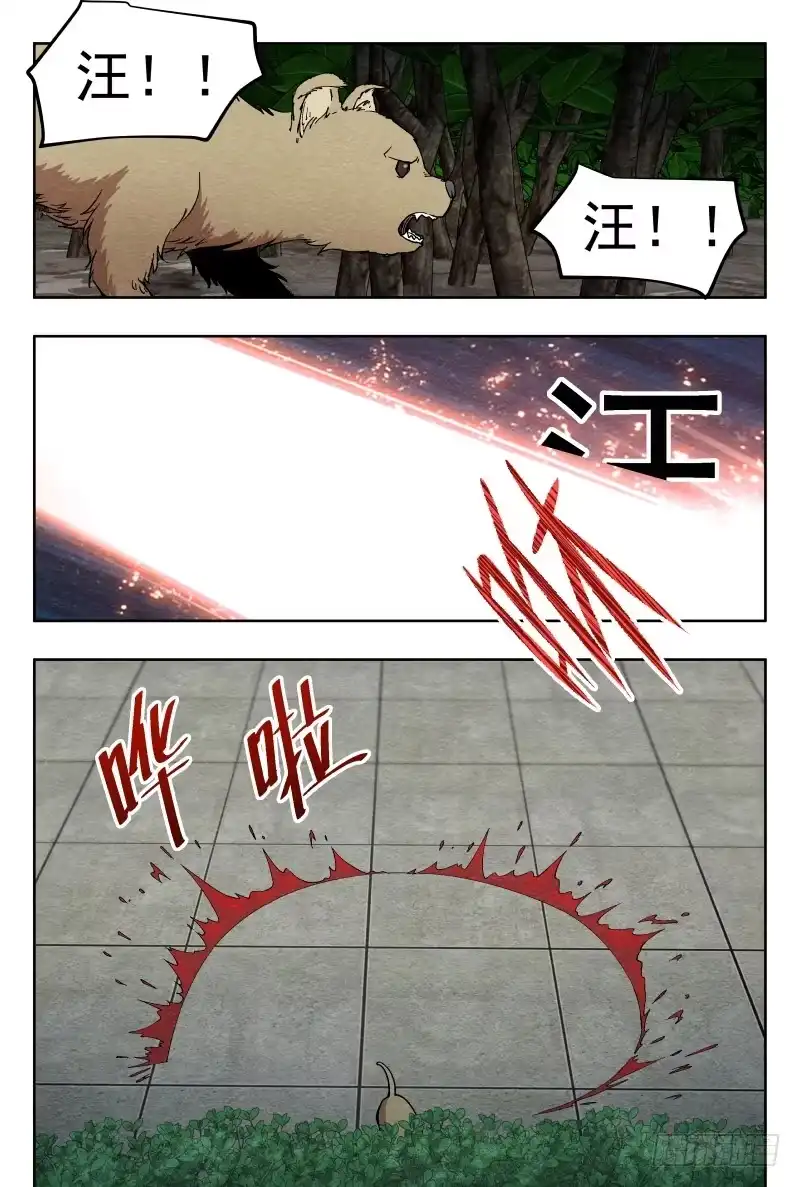 《影杀》影（上） 第3页