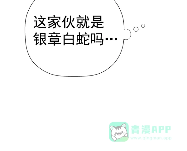 英雄联萌（弱小英雄） 第186话 第107页