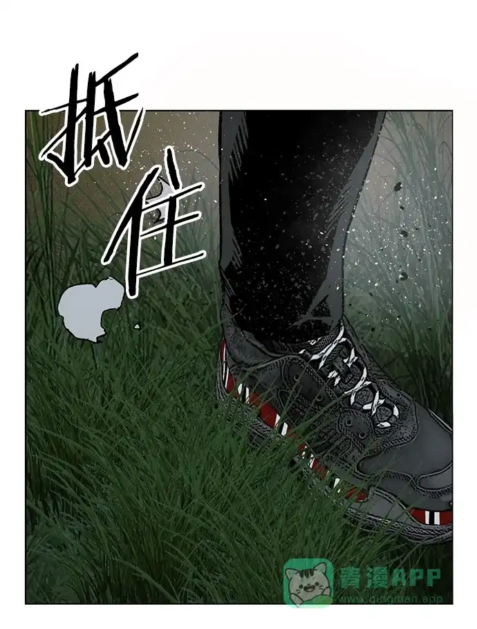 英雄联萌（弱小英雄） 第246话 第67页