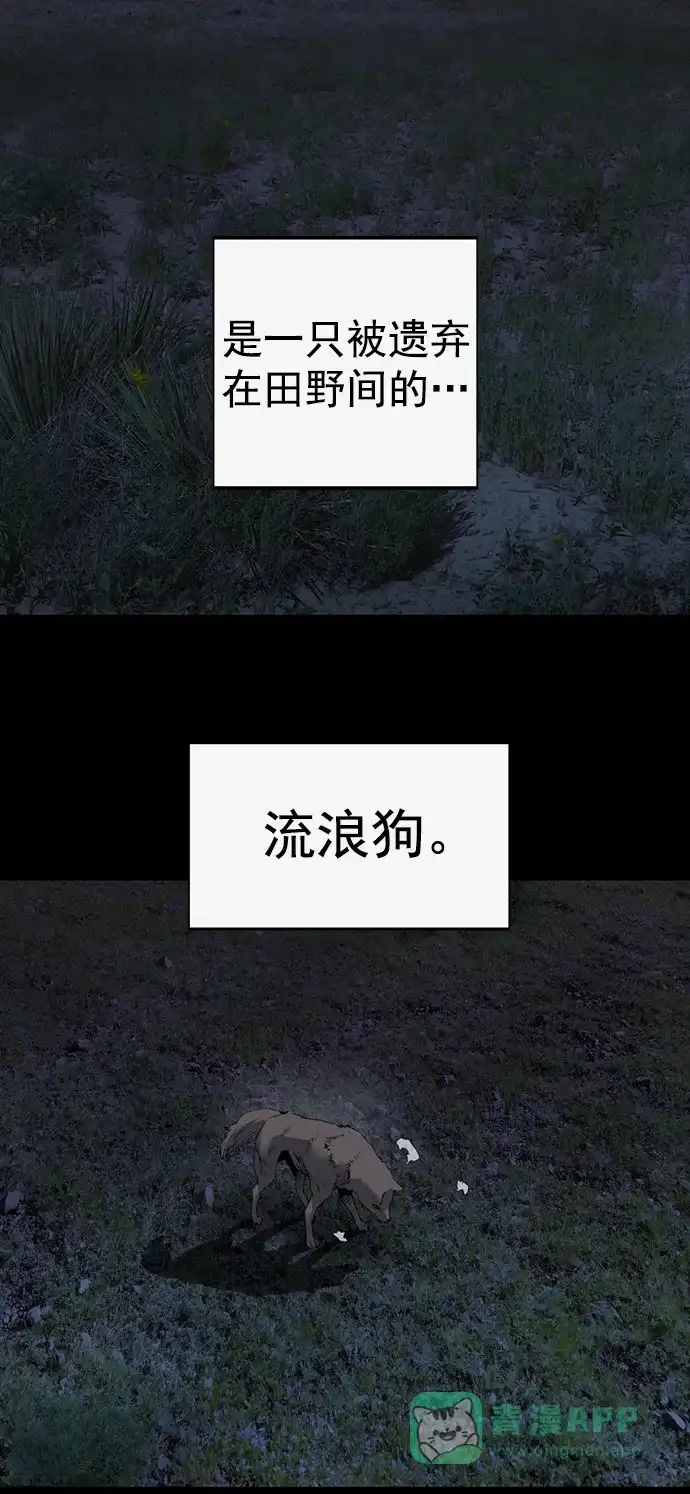 英雄联萌（弱小英雄） 第257话 流浪狗（1） 第3页